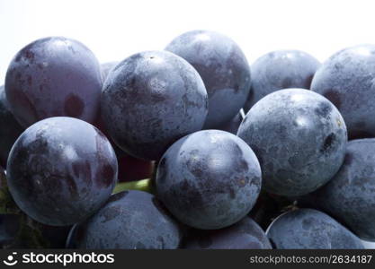 Grape