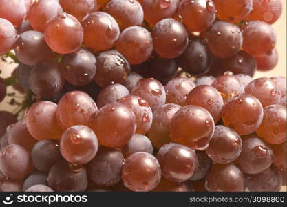 Grape