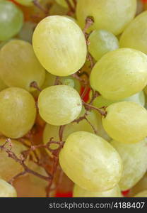 Grape. Grape of vitis fruit useful as a background