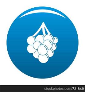 Grape icon. Simple illustration of grape vector icon for any design blue. Grape icon vector blue