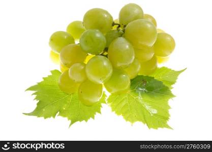 grape isolated on white
