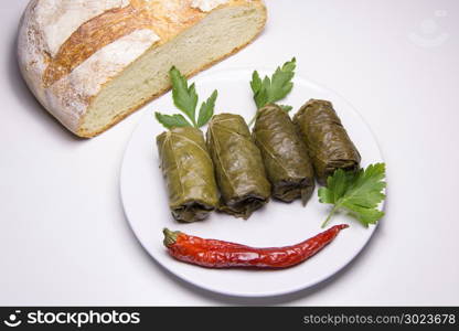 Grape leaves rolls. Sarmale, dolma, sarma, golubtsy or golabki. Grape leaves stuffed with meat, rice and vegetables. East European and Asian traditional cuisine. Fresh sarmale or dolmades, Romanian, Greek, Turkish, Polonia, Iran and Moldavian typical food.