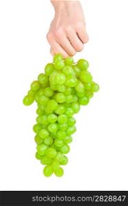 grape on a hand