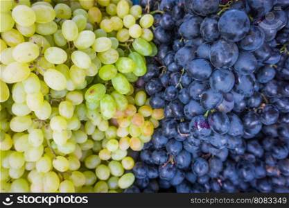 Grape. Wine grapes background.Dark grapes, blue grapes, white grapes,Grapes an market