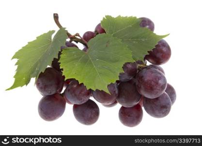 grape with leaves isolated on white