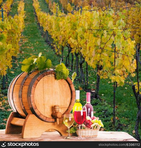 Grapes and bottels of wine near the wooden barrel. Glasses of wine on the table, concept of winery - red and white. concept of winery