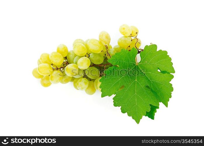 Grapes branch with leaves isolated on white background