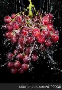 Grapes cluster in water splashes