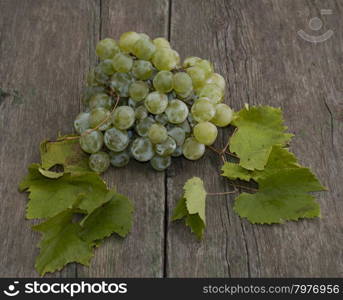 grapes cluster with leaves on a wooden table, a still life on a subject fruit of fall