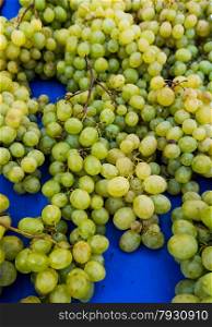 grapes in a market. grape background