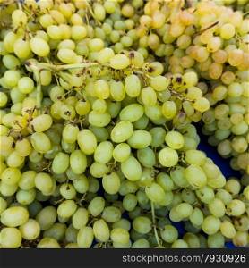 grapes in a market. grape background