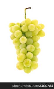 grapes isolated on a white background