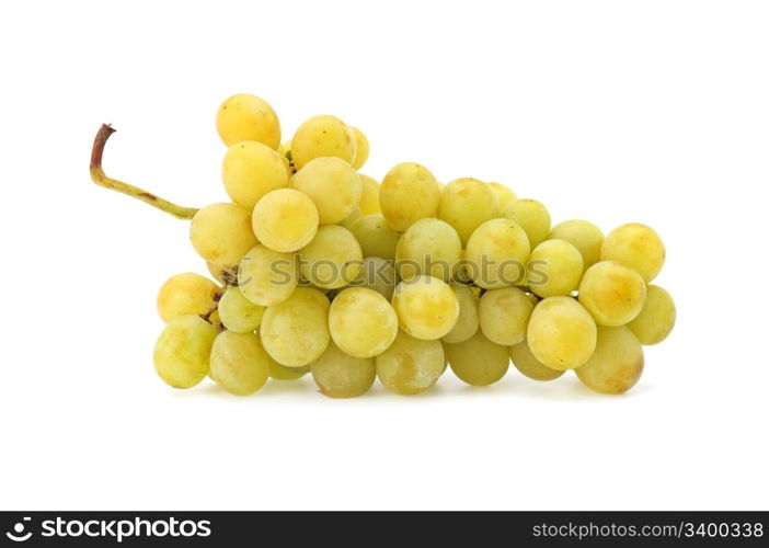 grapes isolated on a white background