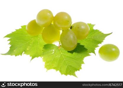 grapes isolated on white