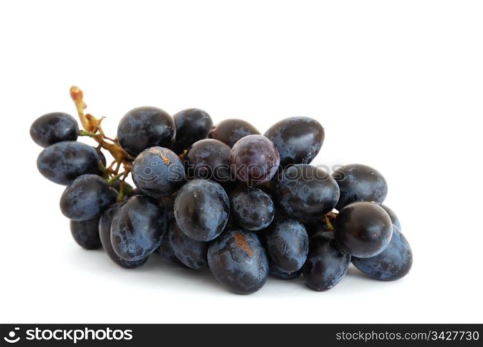 Grapes isolated on white background. Grapes