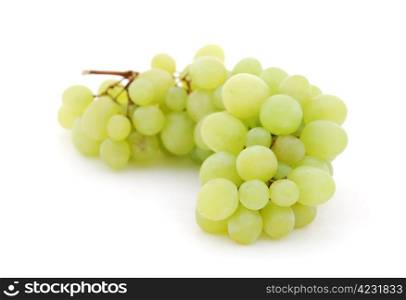 Grapes isolated on white background. Grapes