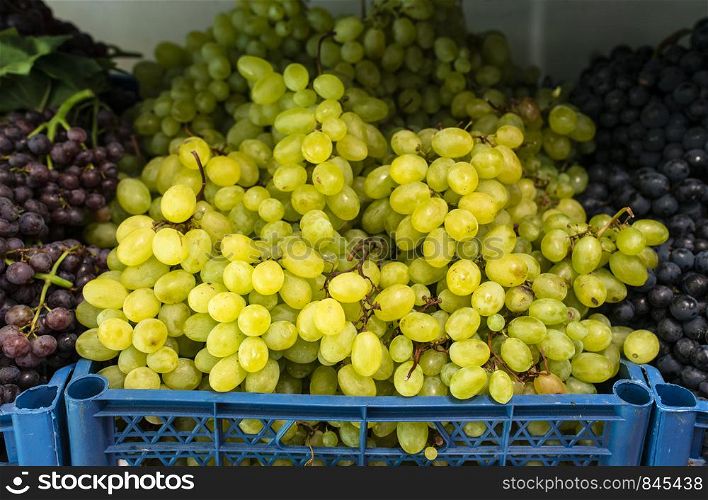 Grapes on shelf in the market. Crates with grape.