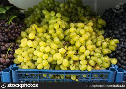 Grapes on shelf in the market. Crates with grape.
