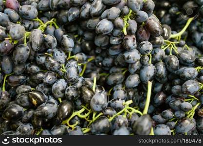 Grapes on the Market.  fresh green grapes and purple grapes.