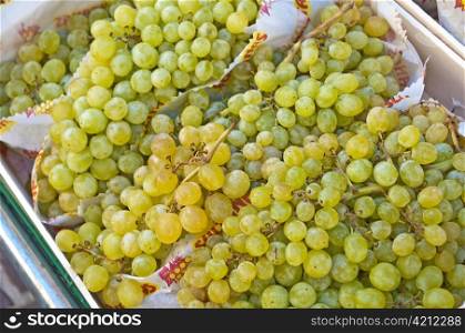 grapevine