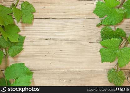 grapevine on wooden background