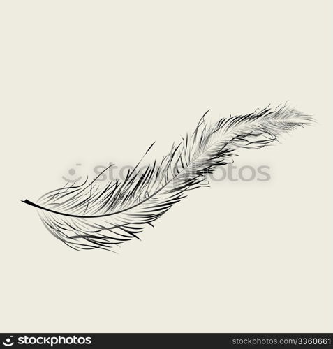 Graphic feather, vector art illustration