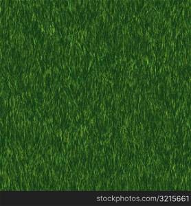 Grass 03