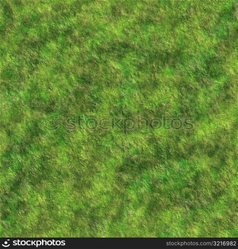 Grass 04