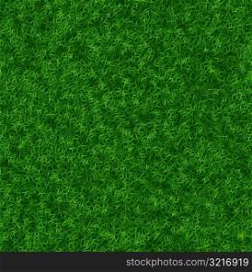 Grass 16