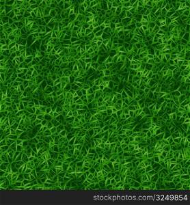 Grass 17