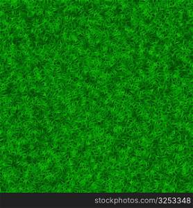 Grass 19
