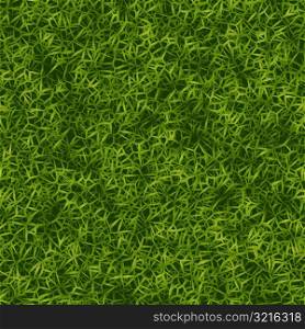 Grass 23