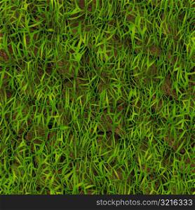 Grass 28