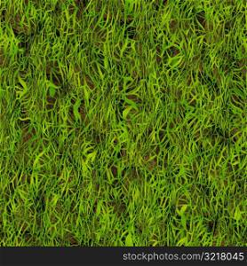 Grass 30