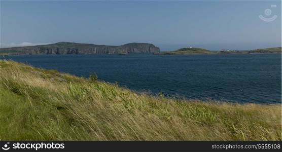 Grass along coastline, Trinity, Trinity Bay, Bonavista Peninsula, Newfoundland And Labrador, Canada