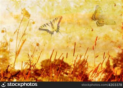 grass and butterflies on Grunge Abstract Background