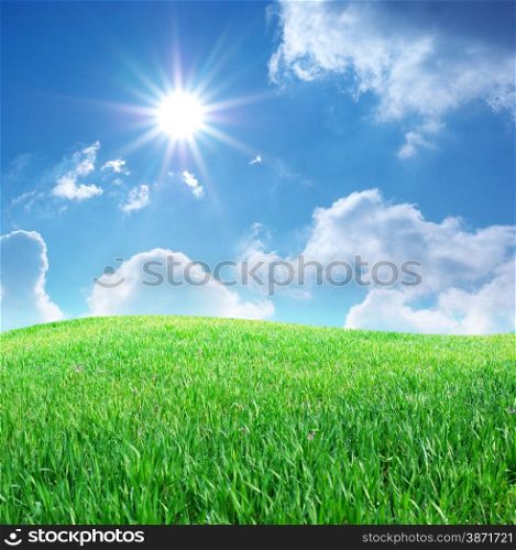 Grass and deep blue sky. Nature composition.