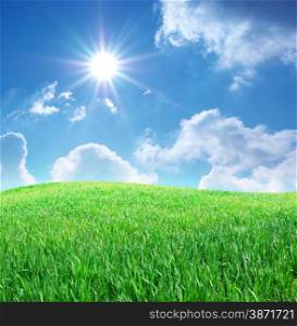 Grass and deep blue sky. Nature composition.