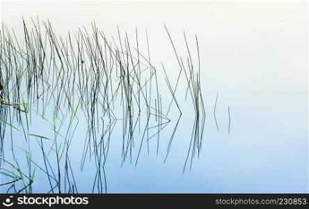 Grass and reeds form a graphic reflection in the calm water of the lake in the early morning. Background of natural abstract patterns with copy space. Selective focus.