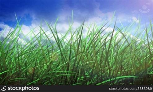 Grass and sky background
