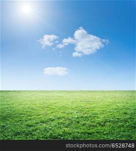 Grass and sky. Grass and sky. Clear summer background nature. Grass and sky