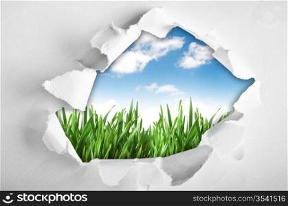 Grass and sky through hole in paper
