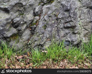 grass and stone