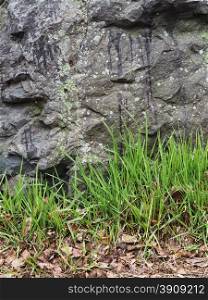 grass and stone