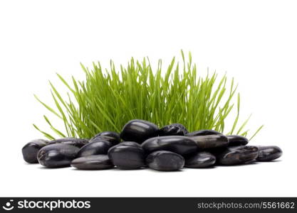 grass and stones isolated on white background