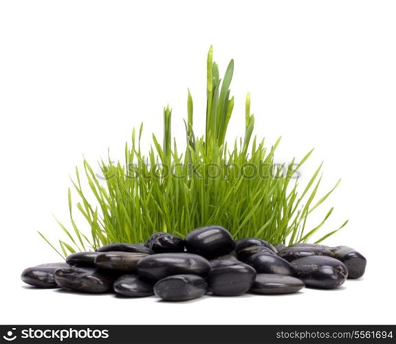 grass and stones isolated on white background