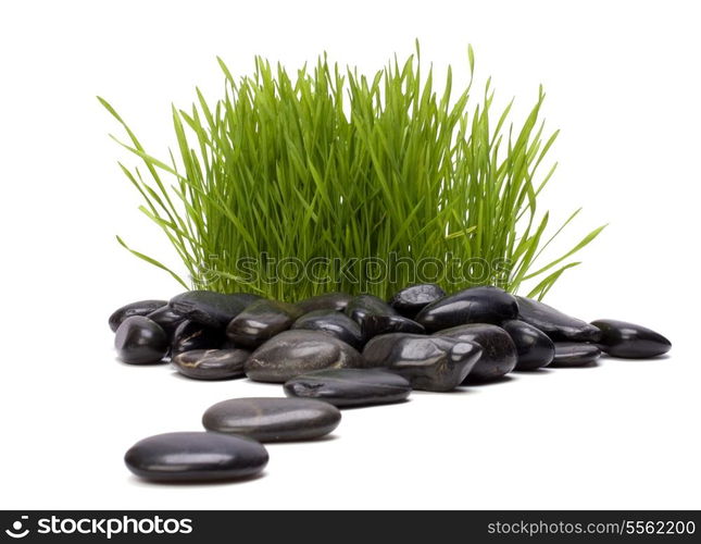 grass and stones isolated on white background