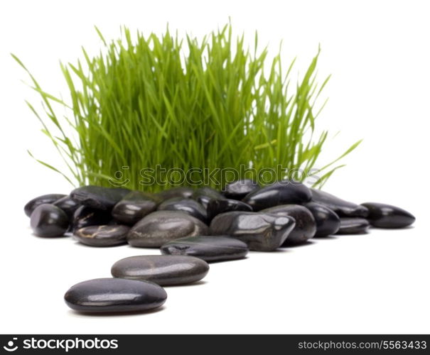 grass and stones isolated on white background. focus on stones.