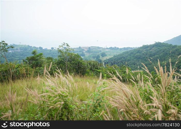 grass and trees. Mountain views from the top of Old Baldy, Pattaya Thailand