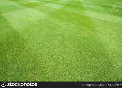 grass background of sport field